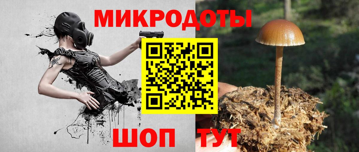 Галлюциногенные грибы мухоморы Пенза